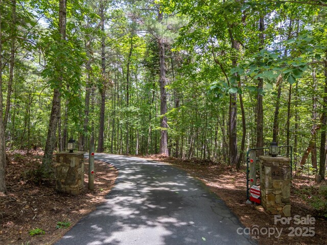 423 Indian Forest Dr, Bostic, NC 28018 - photo 45