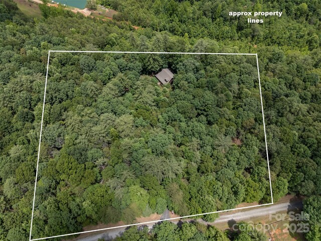 423 Indian Forest Dr, Bostic, NC 28018 - photo 46