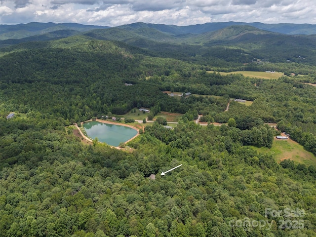 423 Indian Forest Dr, Bostic, NC 28018 - photo 47