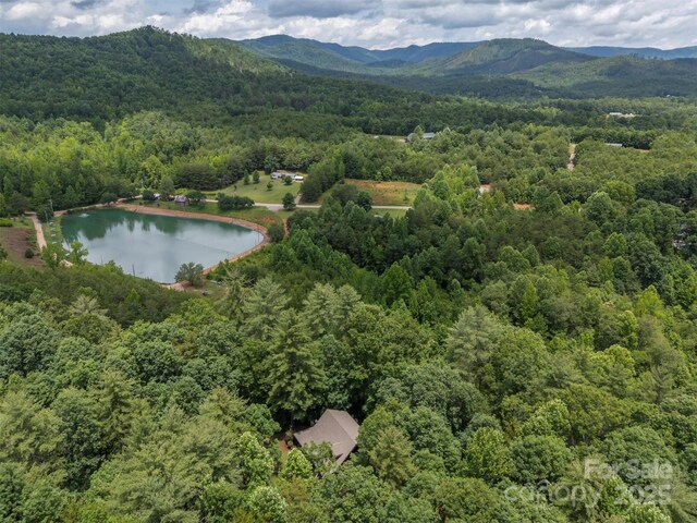 423 Indian Forest Dr, Bostic, NC 28018 - photo 48