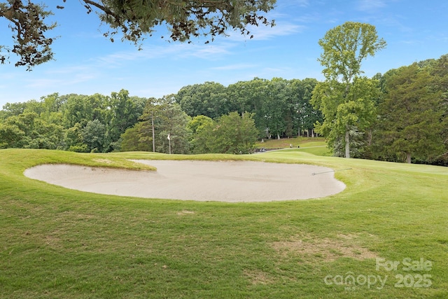 10101 Wood Ct, Charlotte, NC 28277 - view of home's community featuring view of golf course, a yard, and view of wooded area