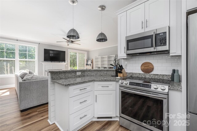 3902 Mcgee Point Rd, Terrell, NC 28682 - kitchen with appliances with stainless steel finishes, open floor plan, a peninsula, ceiling fan, and light wood-style floors