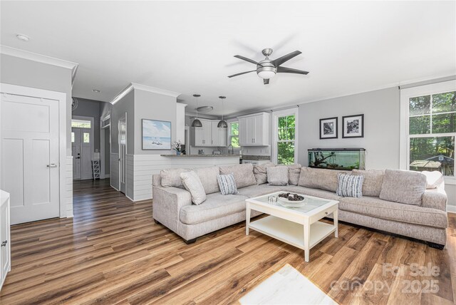 3902 Mcgee Point Rd, Terrell, NC 28682 - living room with light wood-type flooring, a ceiling fan, ornamental molding, and plenty of natural light