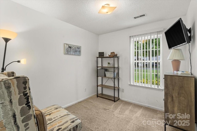 209 Mcfadden St, Rock Hill, SC 29730 - living area featuring carpet flooring and a textured ceiling