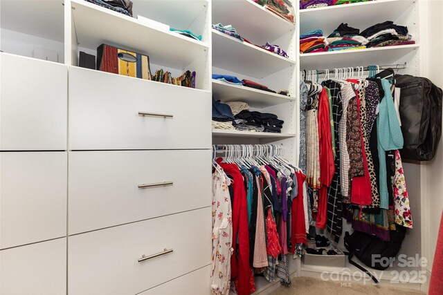10106 Silverling Dr, Waxhaw, NC 28173 - spacious closet featuring carpet floors