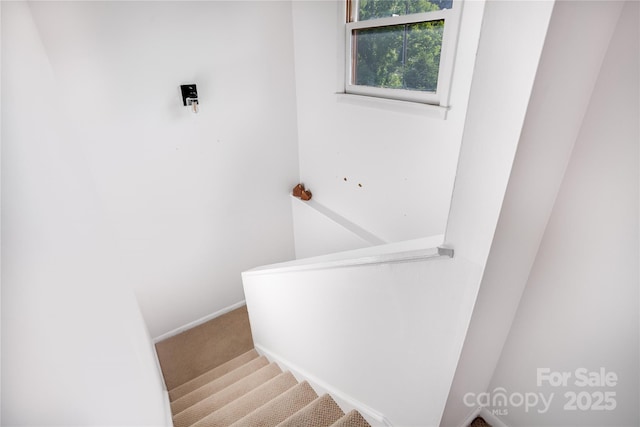26 Pebblebrook St, Clyde, NC 28721 - stairs with carpet and baseboards