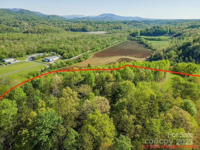 000 Thousand Oaks Dr, Old Fort, NC 28752 - photo 2