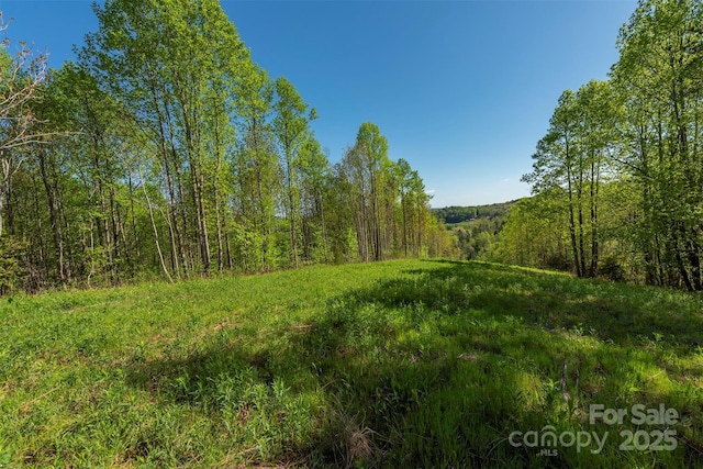 000 Thousand Oaks Dr, Old Fort, NC 28752 - photo 3