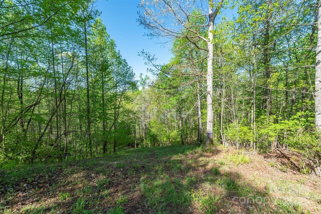 000 Thousand Oaks Dr, Old Fort, NC 28752 - photo 4