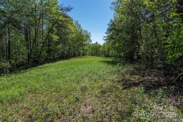 000 Thousand Oaks Dr, Old Fort, NC 28752 - photo 5