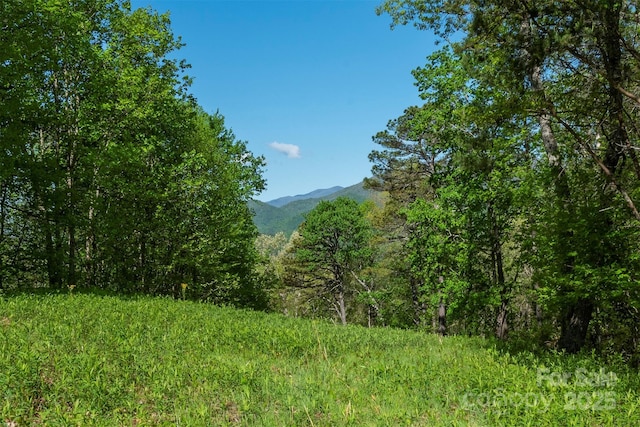 000 Thousand Oaks Dr, Old Fort, NC 28752 - photo 6