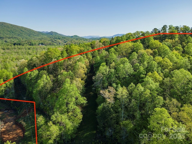 000 Thousand Oaks Dr, Old Fort, NC 28752 - photo 8