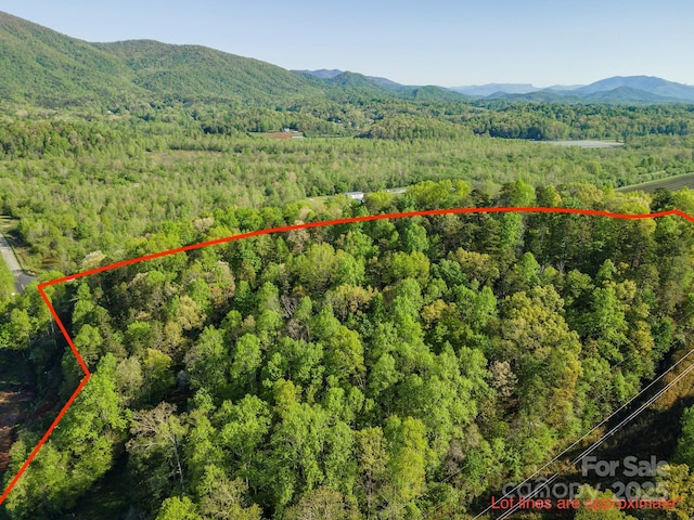 000 Thousand Oaks Dr, Old Fort, NC 28752 - photo 9