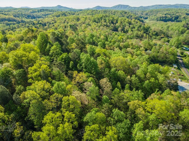 000 Thousand Oaks Dr, Old Fort, NC 28752 - photo 10