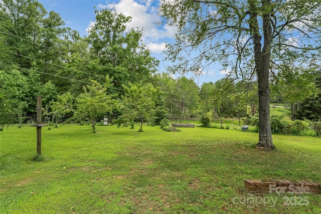 958 US-64, Morganton, NC 28655 - view of grassy yard