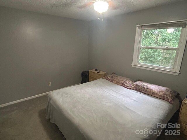 110 Washington Ct, Cowpens, SC 29330 - photo 7