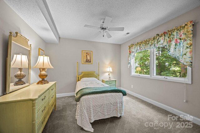123 Carriage Walk Ln, Hendersonville, NC 28791 - photo 27