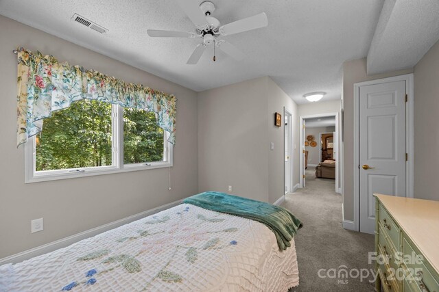 123 Carriage Walk Ln, Hendersonville, NC 28791 - photo 28