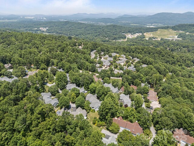 123 Carriage Walk Ln, Hendersonville, NC 28791 - photo 36