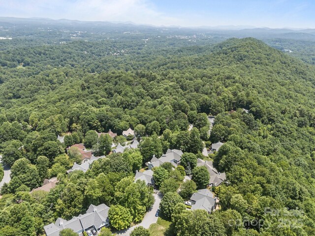 123 Carriage Walk Ln, Hendersonville, NC 28791 - photo 37