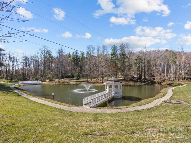 123 Carriage Walk Ln, Hendersonville, NC 28791 - photo 42