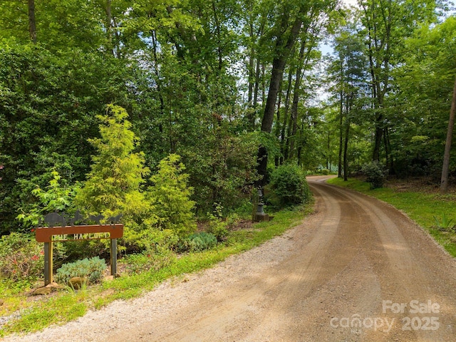777 S River Rd, Tryon, NC 28782 - photo 3