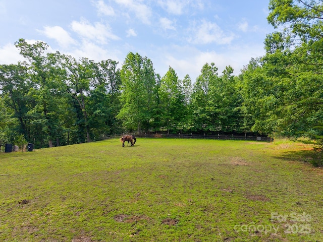 777 S River Rd, Tryon, NC 28782 - photo 7