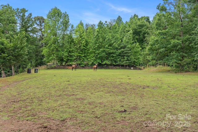 777 S River Rd, Tryon, NC 28782 - photo 9