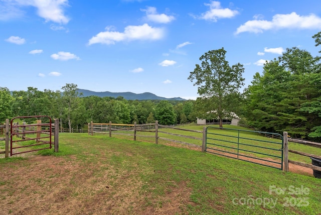777 S River Rd, Tryon, NC 28782 - photo 11