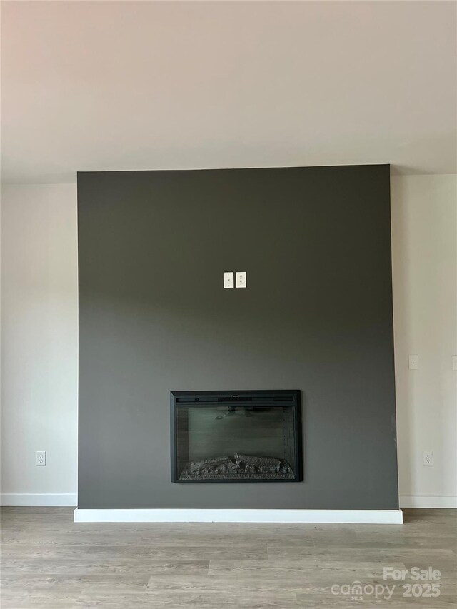 823 32nd St NE, Conover, NC 28613 - detailed view of wood finished floors, a glass covered fireplace, and baseboards