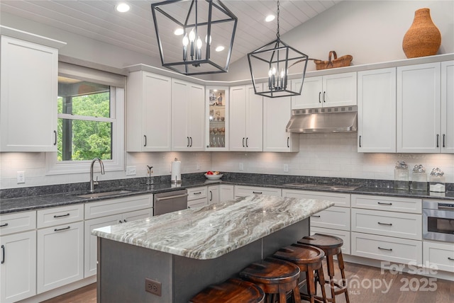 24 Herron View Ln, Weaverville, NC 28787 - kitchen featuring under cabinet range hood, electric cooktop, stainless steel dishwasher, wood finished floors, and white cabinets