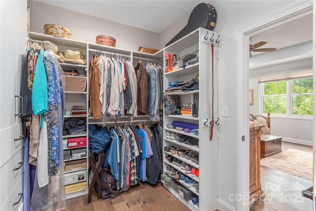 24 Herron View Ln, Weaverville, NC 28787 - walk in closet featuring wood finished floors
