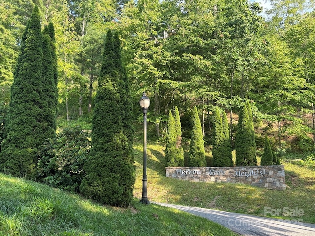 24 Herron View Ln, Weaverville, NC 28787 - exterior space featuring a forest view