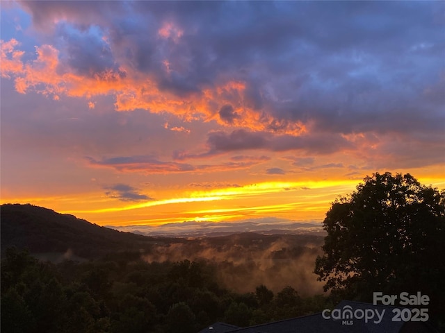 24 Herron View Ln, Weaverville, NC 28787 - mountain view