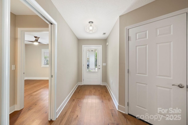 50 Beekeeper Trl, Swannanoa, NC 28778 - doorway featuring light wood-type flooring, healthy amount of natural light, and baseboards