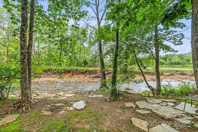 50 Beekeeper Trl, Swannanoa, NC 28778 - view of yard