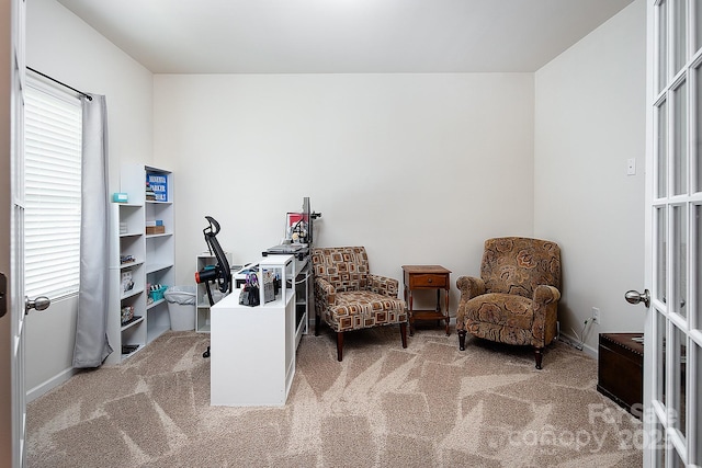 7328 Strawberry Fields Ln, Charlotte, NC 28278 - home office with carpet floors and baseboards