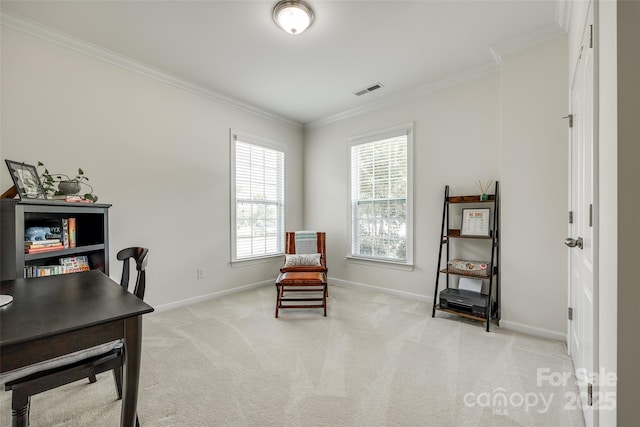 129 Hawks Creek Pkwy, Fort Mill, SC 29708 - office space featuring crown molding and light carpet