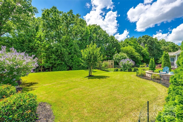 129 Hawks Creek Pkwy, Fort Mill, SC 29708 - view of yard
