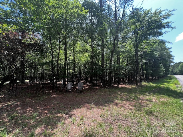 LotA Sandlapper Drive A, York, SC 29745