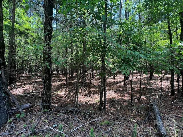 LotA Sandlapper Drive A, York, SC 29745