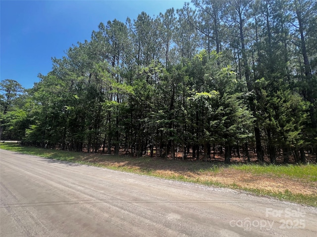 LotA Sandlapper Drive A, York, SC 29745