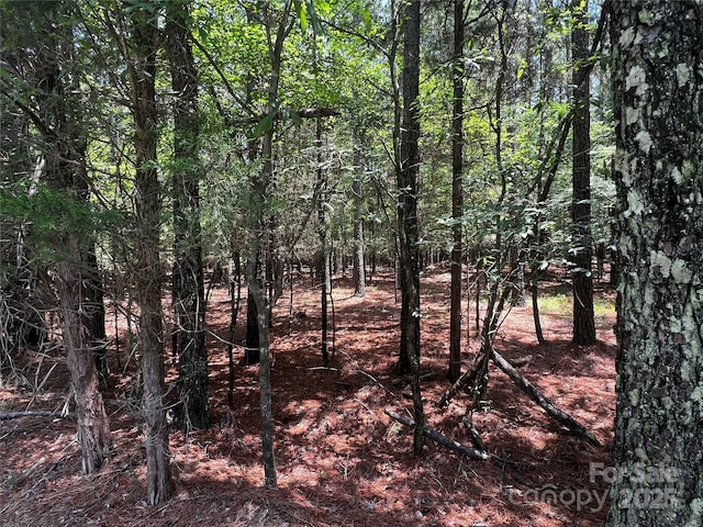 LotA Sandlapper Drive A, York, SC 29745