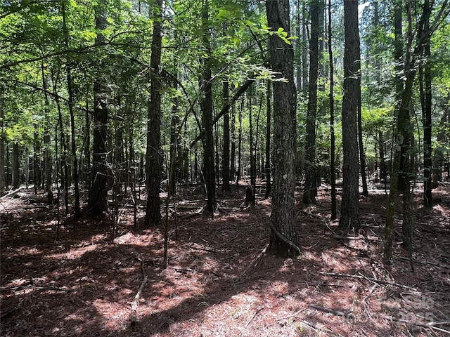 LotA Sandlapper Drive A, York, SC 29745