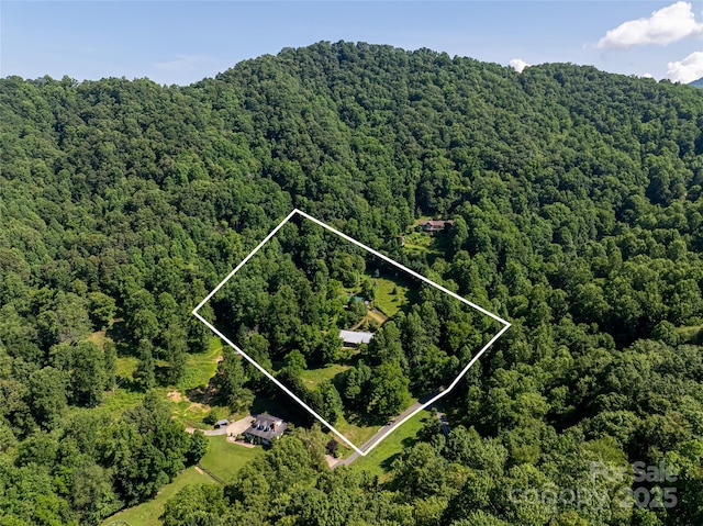 287 Walnut Ridge Dr, Clyde, NC 28721 - photo 32