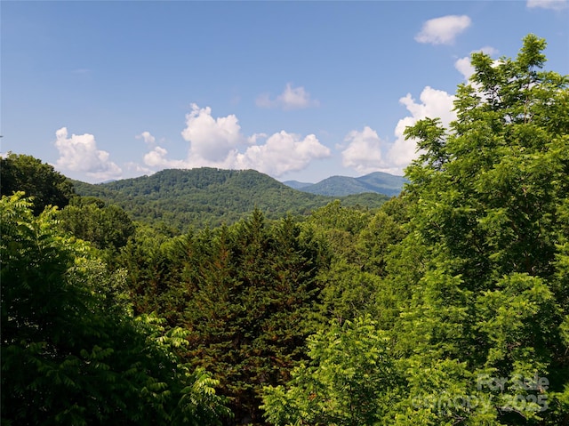 287 Walnut Ridge Dr, Clyde, NC 28721 - photo 37