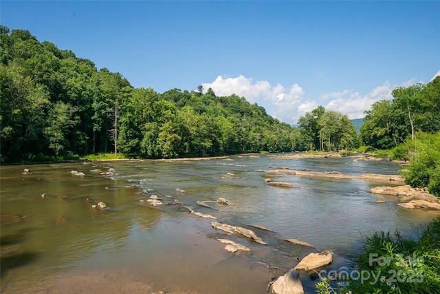 287 Walnut Ridge Dr, Clyde, NC 28721 - photo 38