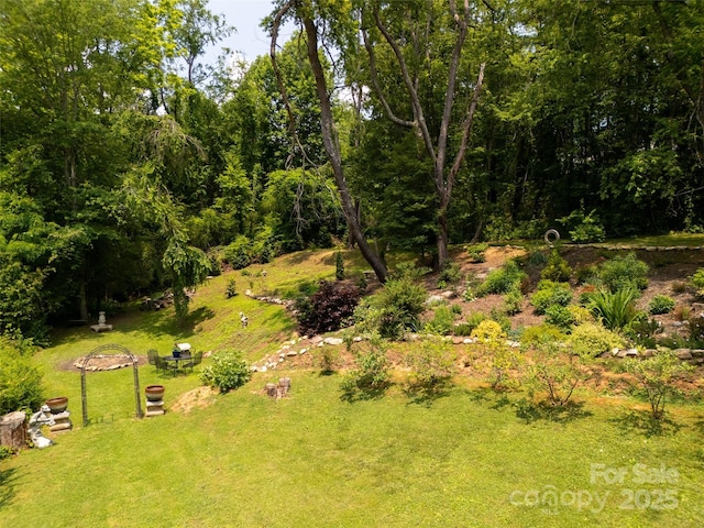 26 Melton Rd, Candler, NC 28715 - view of grassy yard
