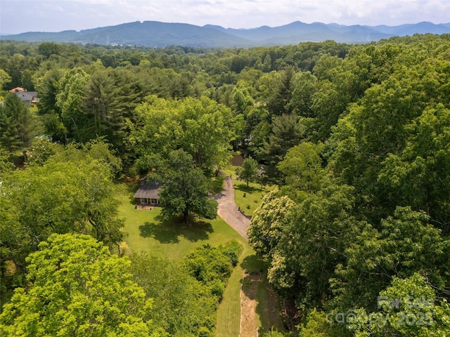 26 Melton Rd, Candler, NC 28715 - bird's eye view of a forest and a mountain backdrop