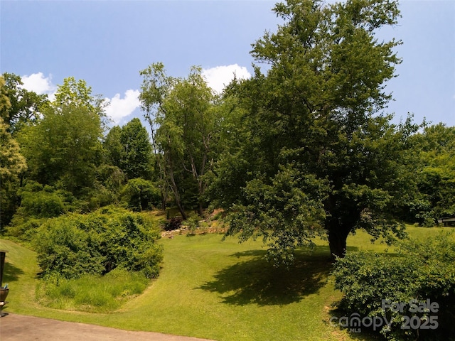 26 Melton Rd, Candler, NC 28715 - view of community featuring a yard